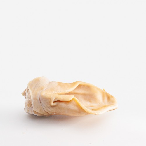 Oreja de Cerdo Salada