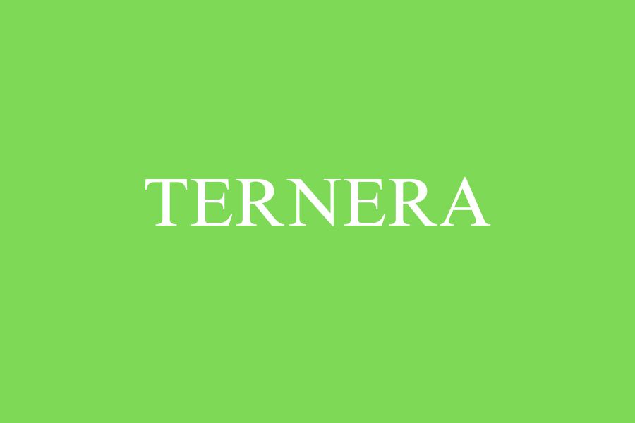TERNERA
